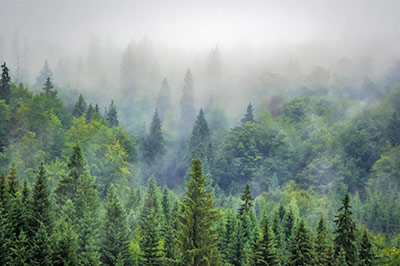 云轉(zhuǎn)科技高精度重載云臺為森林防火監(jiān)控保駕護(hù)航